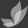 Flyupstudio